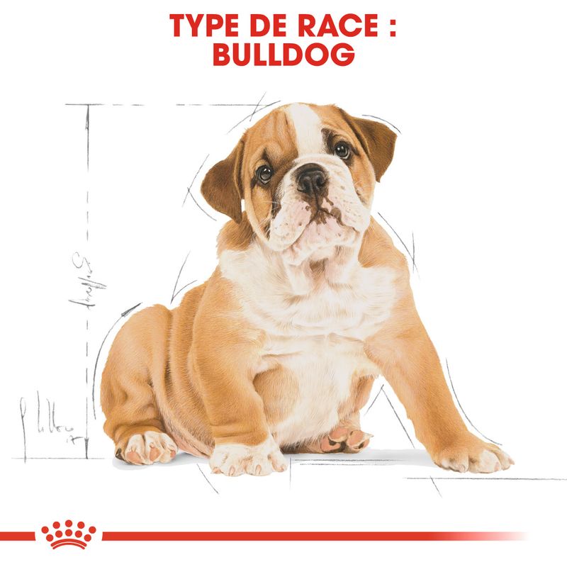 Royal Canin Bouledogue Puppy sur bitiba.fr