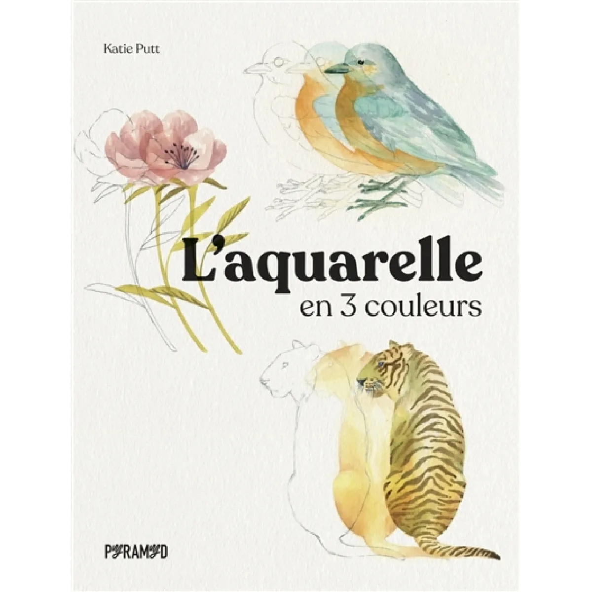 L'aquarelle en 3 couleurs · Occasion