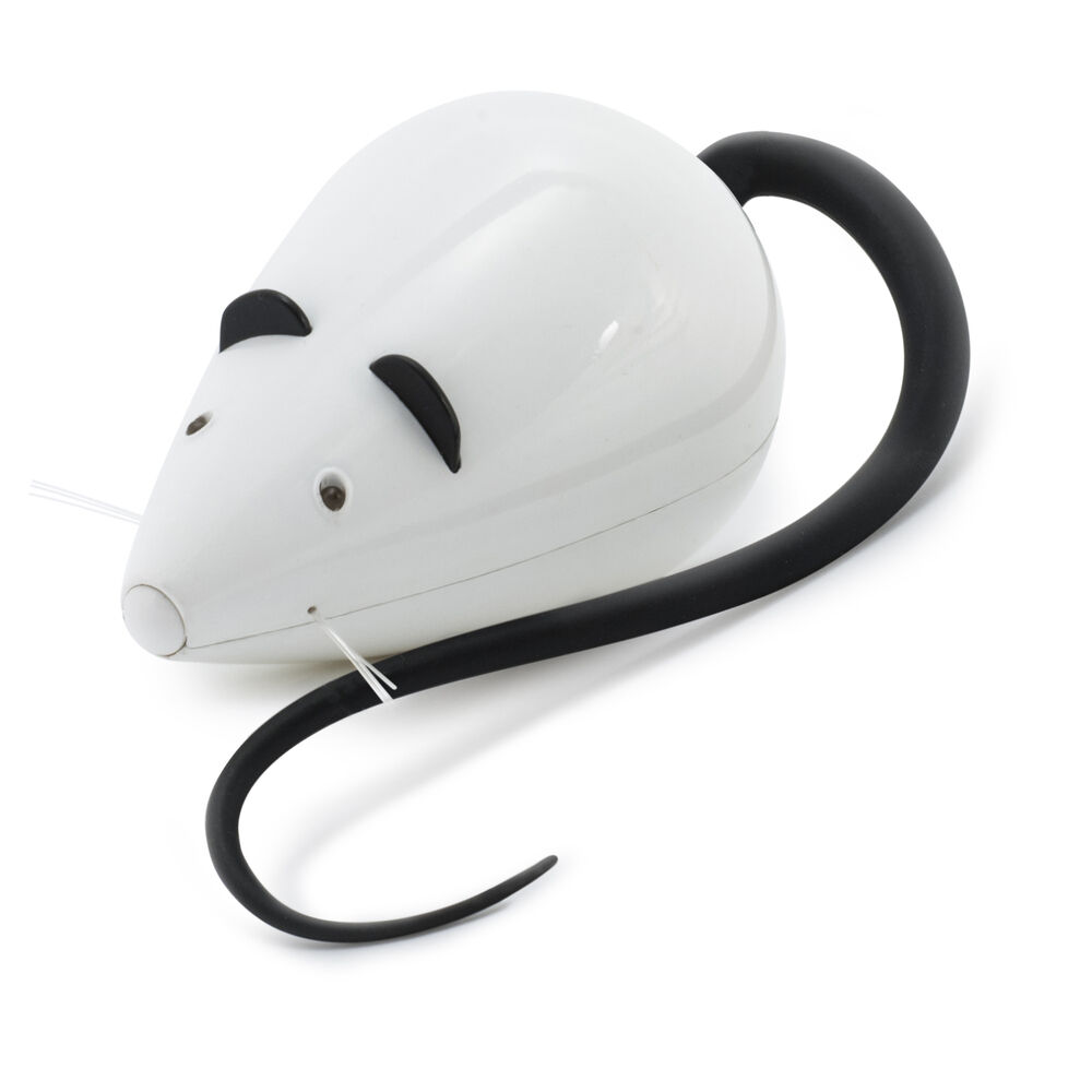 Petsafe Rolorat - Kattenspeeltje