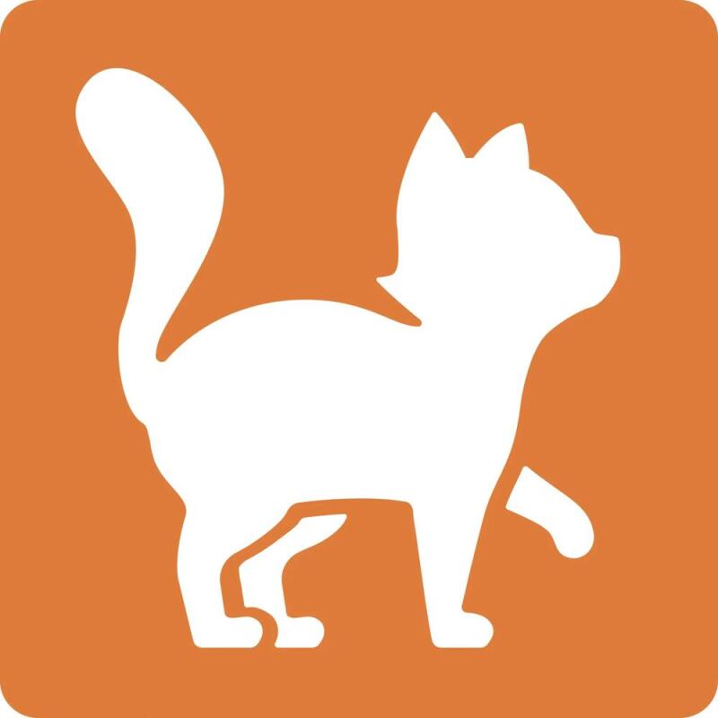 Set de 6 pochoirs enfants, Chats - Orange
