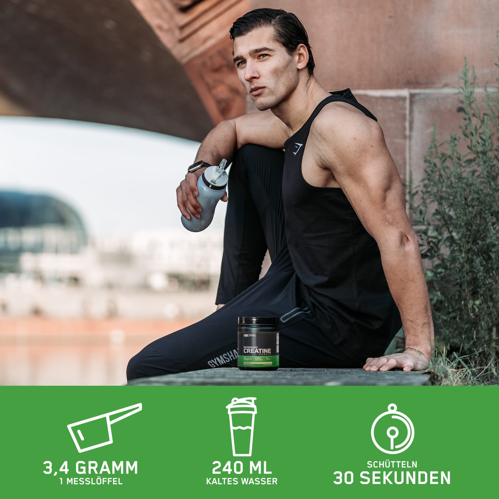 Micronised Creatine Powder (634g)