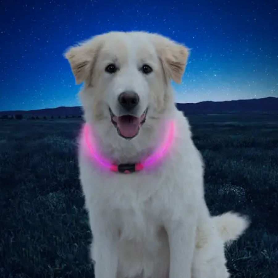 Coleira de segurança LED rosa Nite Ize NiteHowl para cães