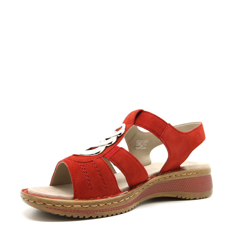 Ara Helena | ROUGE