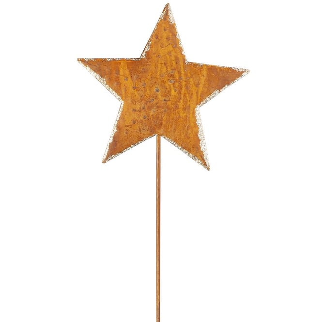 Pflanzenstecker - Stern - ca. 77 x 16 cm