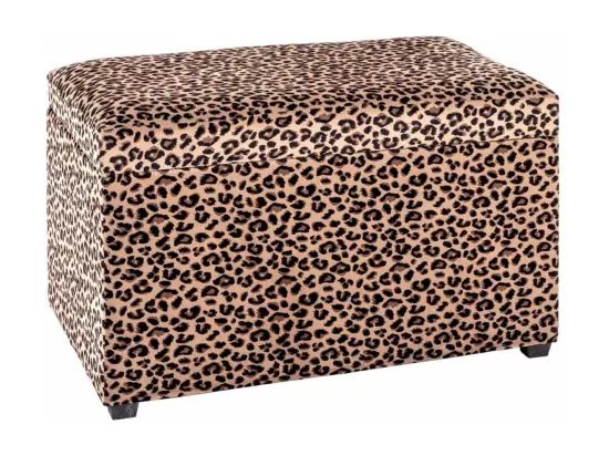 Coffre de Rangement 
