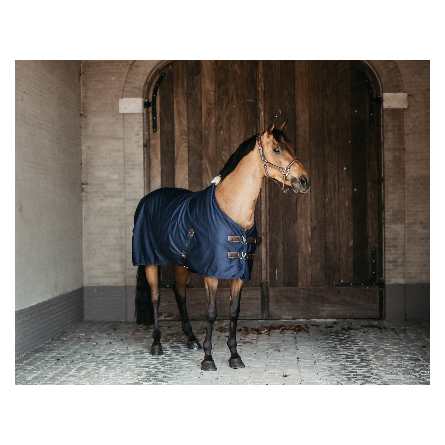 KENTUCKY Baumwolldecke Cotton Sheet - navy