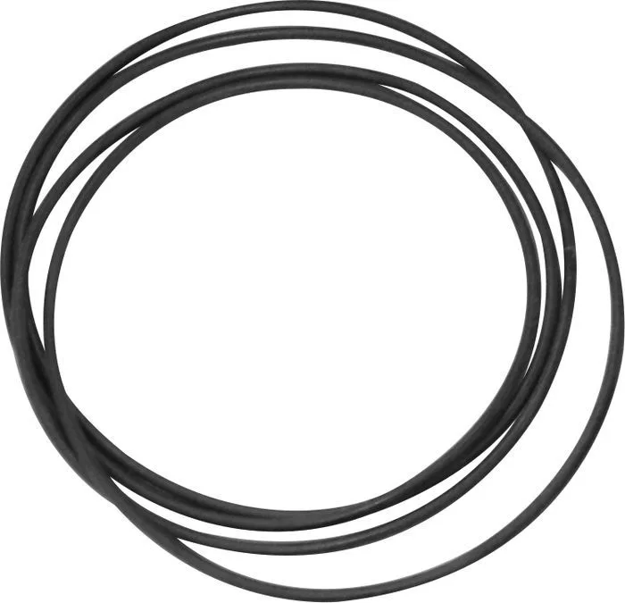 Courroie de rechange Project pour platine Perspective Courroies vinyle