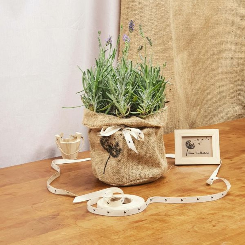 Coffret d'une lavande, avec son infusion de lavandin bio