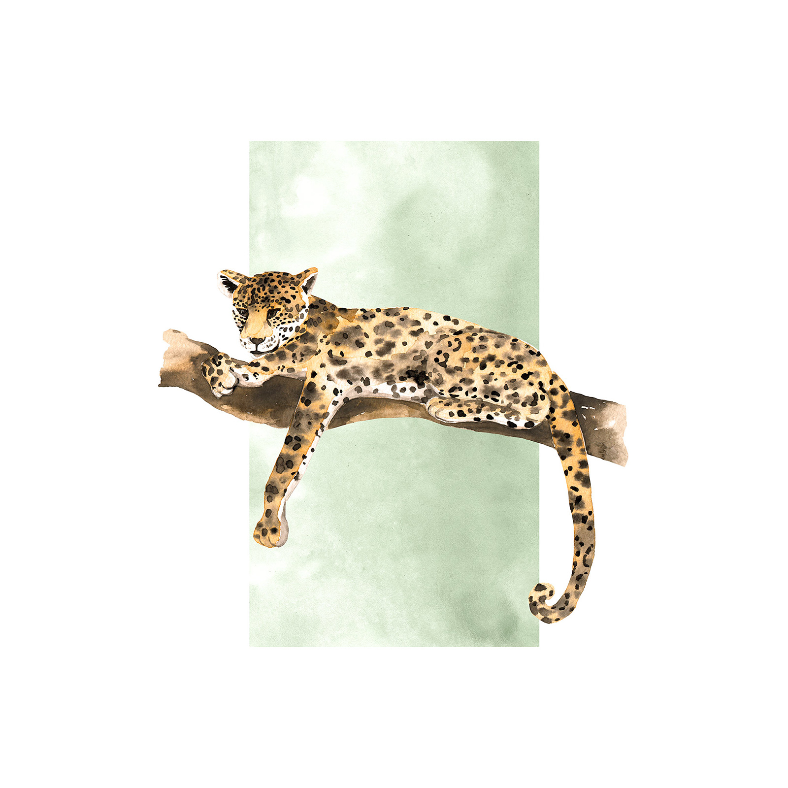 Wandbild LAZY LEOPARD - bunt - 50x70 cm