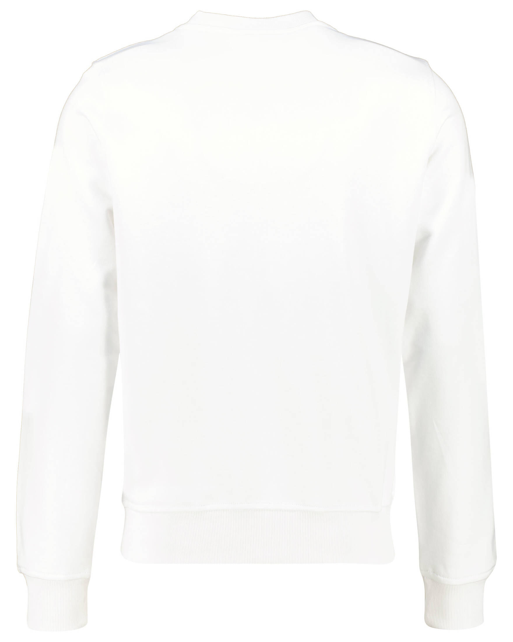 Diesel| Herren Sweatshirt S-GINN-DIV