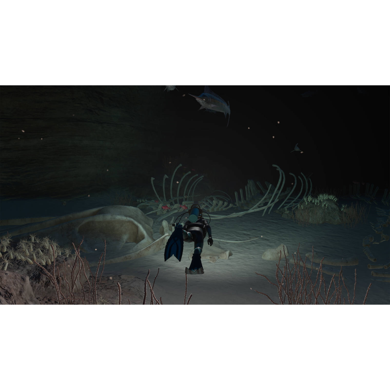 Nintendo Endless Ocean Luminous (Nintendo Switch)