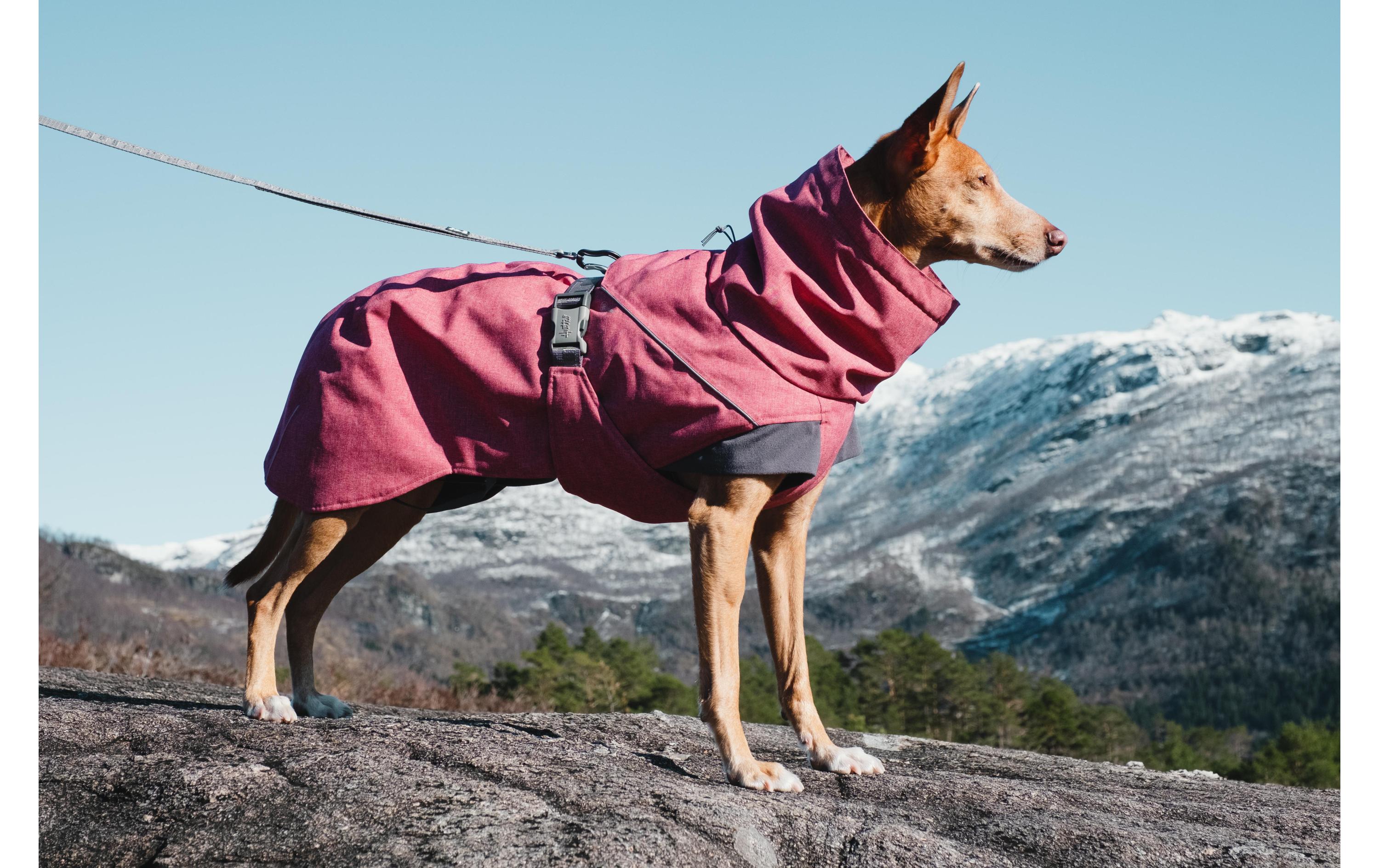 Wintermantel Expedition Parka dunkelgrau, 60Wintermantel für Hunde
