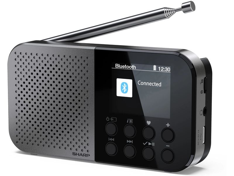 Sharp DAB  Radio DR-P520 Grau Tragbares DAB  Handradio mit RDS