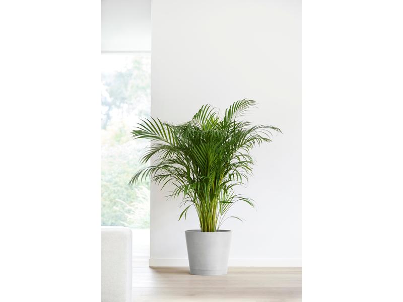 Ecopots Pflanzentopf Venice 40, Hellgrau Robuster und langlebiger Blumentopf