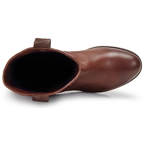 Blackstone - BOLOGNA HORSES - Marron