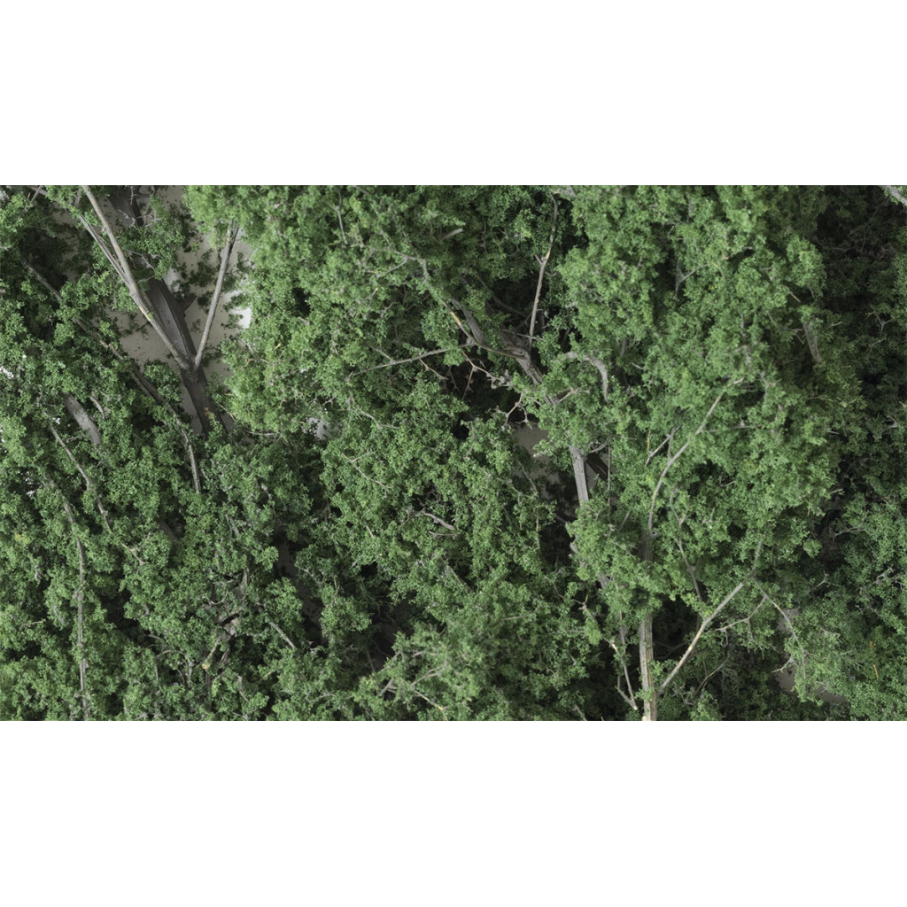 Woodland Scenics - Fine-Leaf Foliage Dark Green
