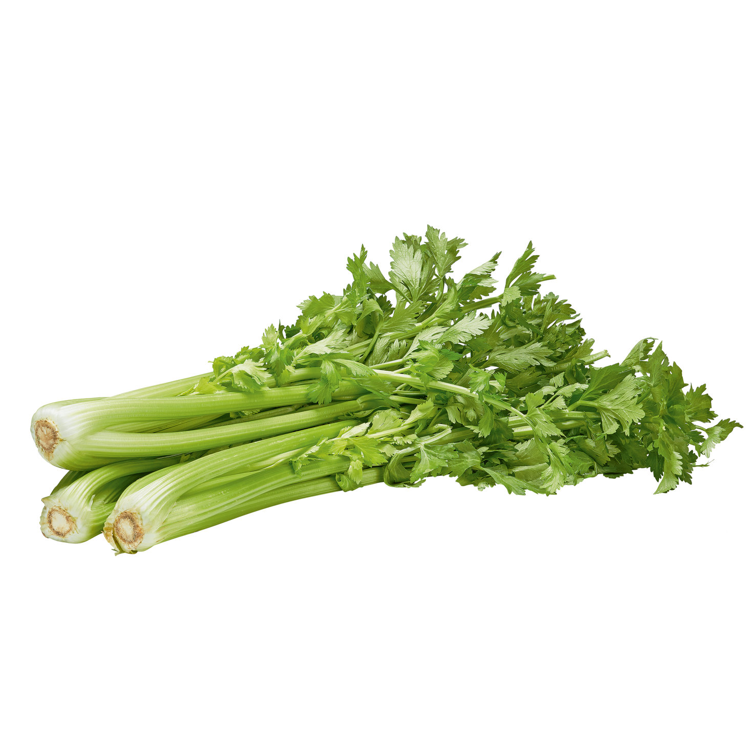 Naturaplan Bio Stangensellerie ca. 500g -
