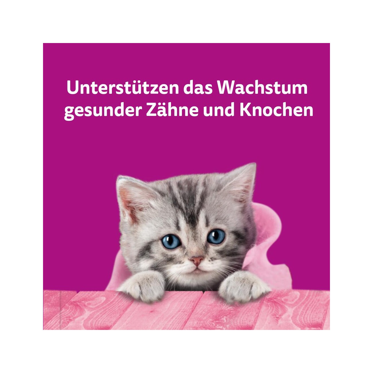 Whiskas Snacks, Junior, Milch-Kätzchen, Huhn 6x50 g