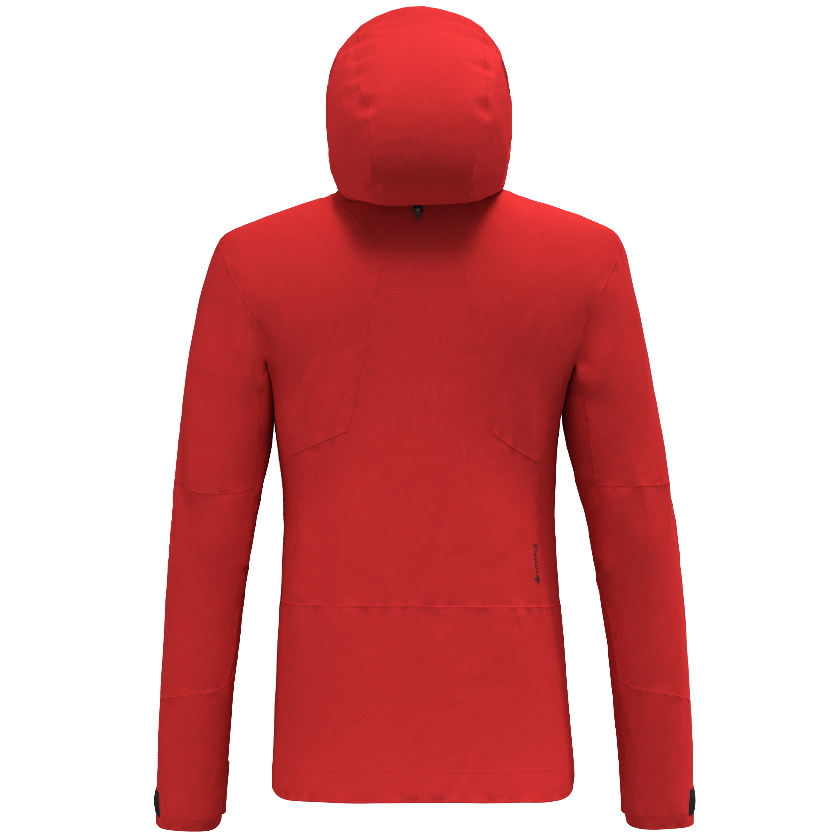 Ortles Gore-Tex® Pro Jacke Herren