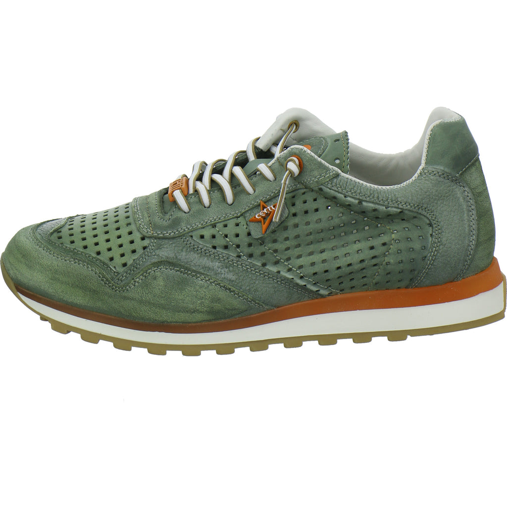 Cetti Sneaker Herren oliv