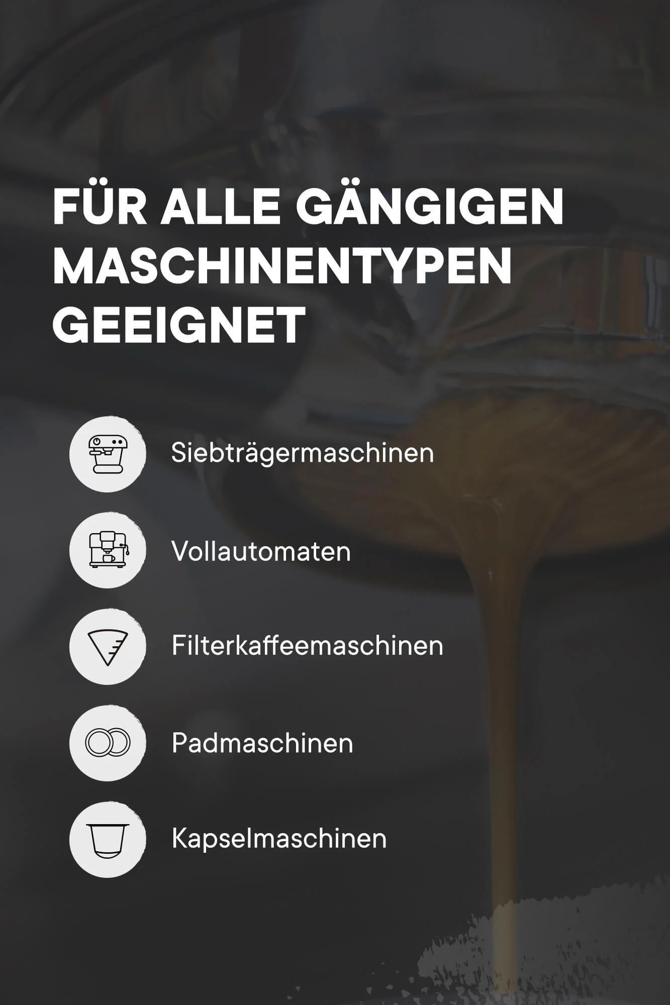 roastmarket Premium Entkalker