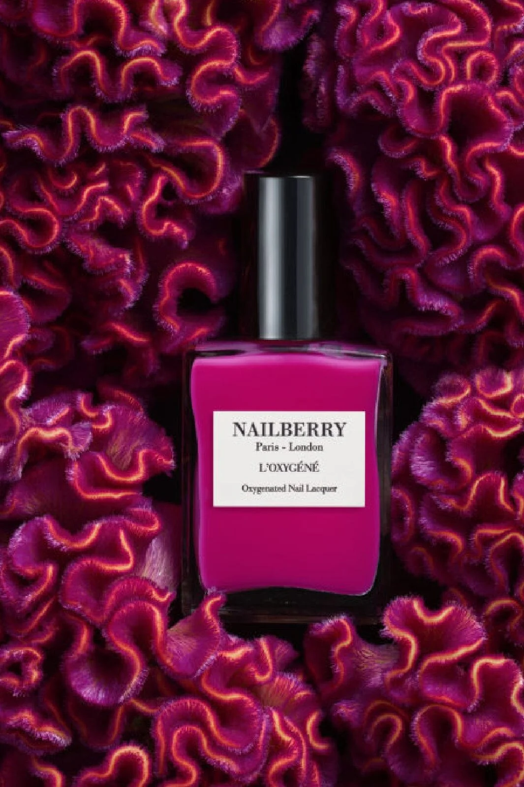 Nailberry Hollywood Rose