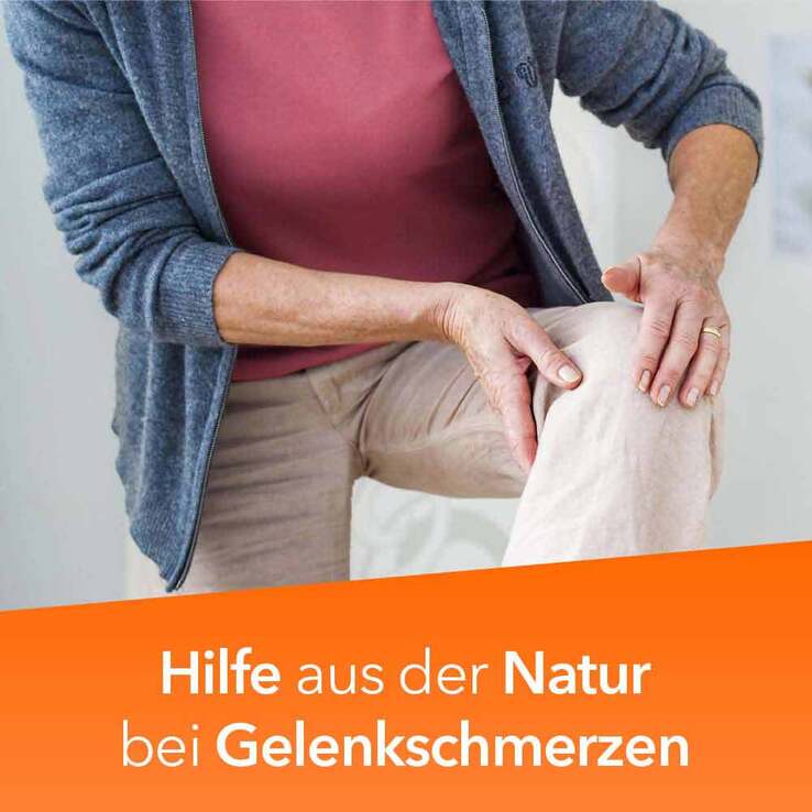 Teufelskralle ratiopharm - bei Gelenkschmerz, 100 St