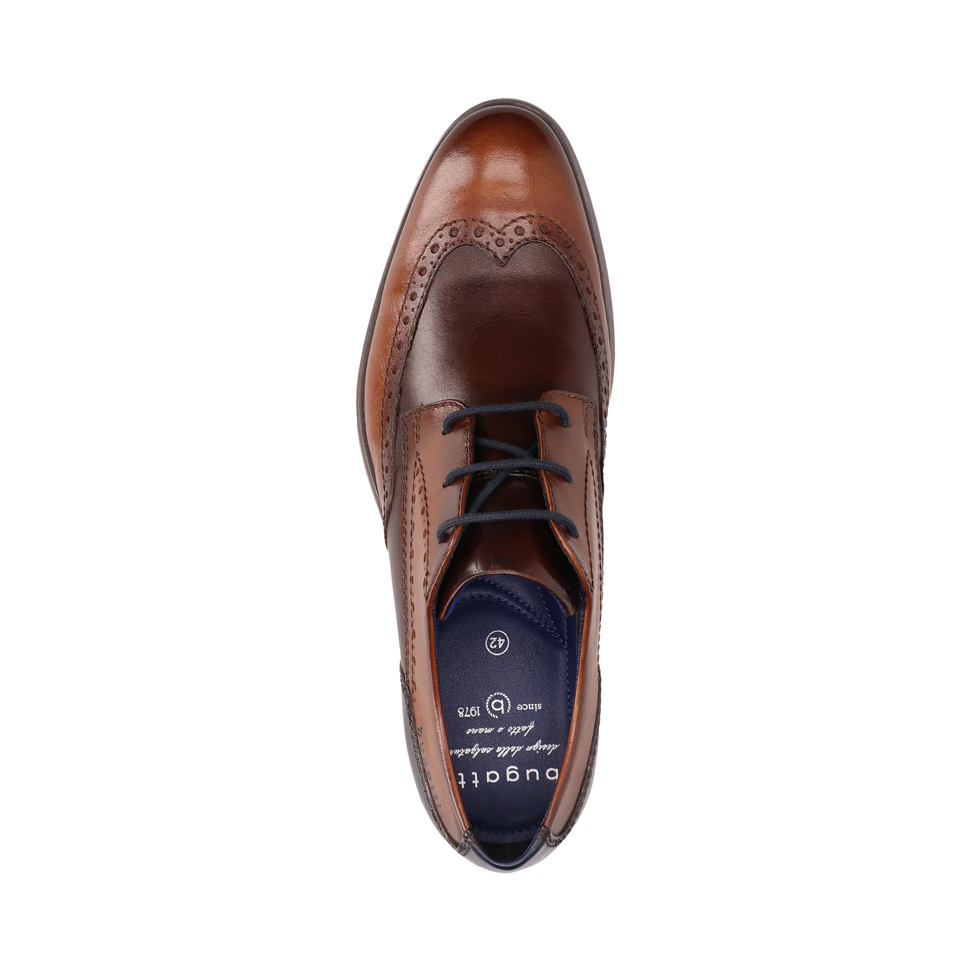 Leder Business Schnürer cognac