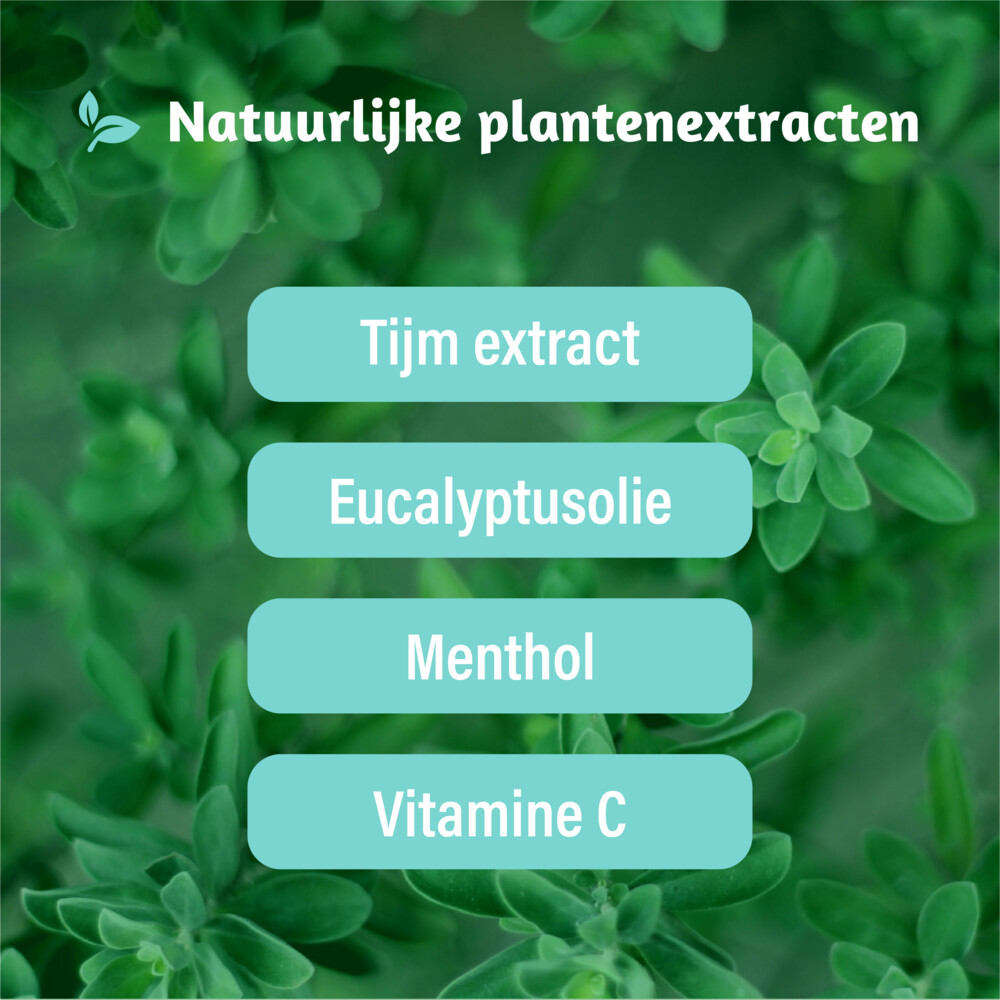 Dampo Luchtwegen Pastilles Suikervrij24 zuigtabletten