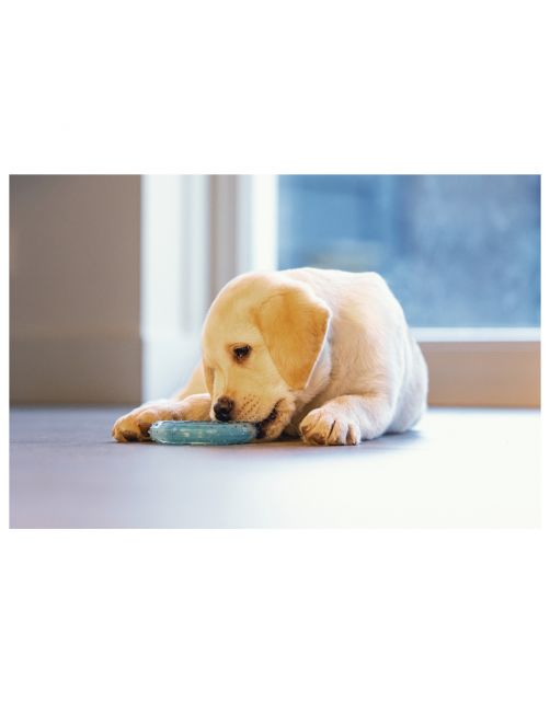 Beeztees Puppy Koel Bijtring - Hondenspeelgoed - 10 cm Groen
