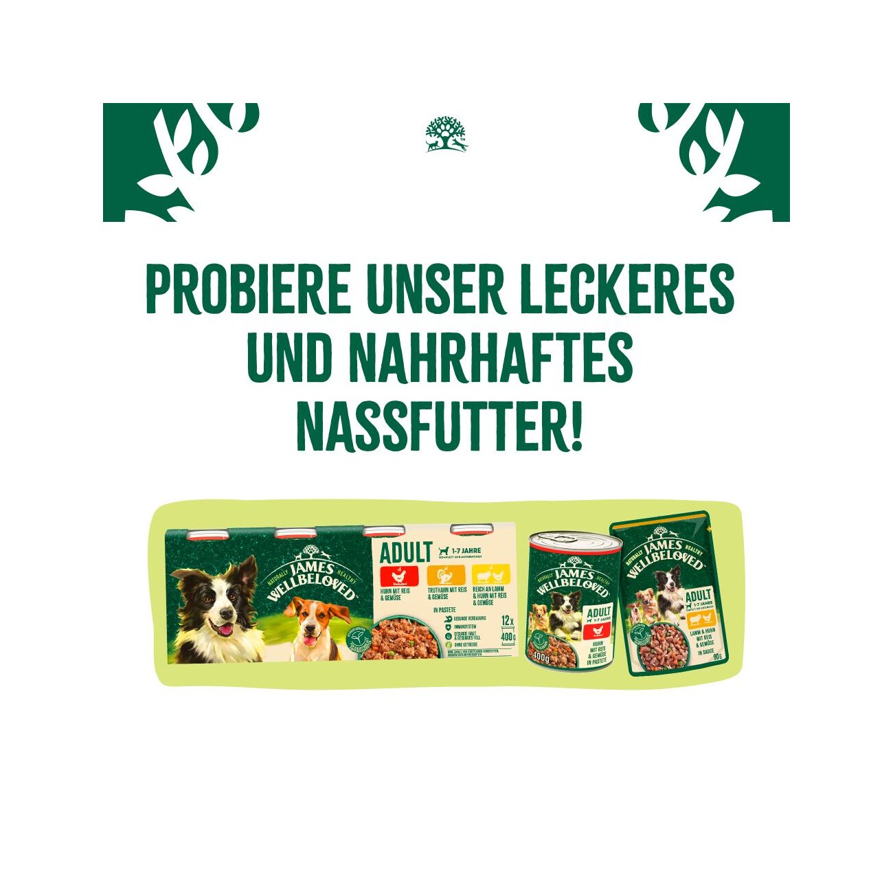 James Wellbeloved Truthahn & Reis für große Hunde 10 Kg