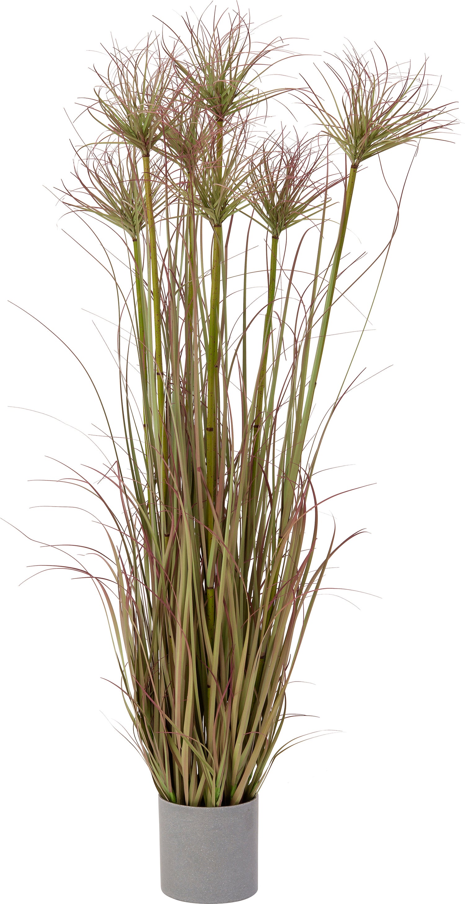 Intratuin kunstplant Siergras groen rood 35 x 35 x 120 cm