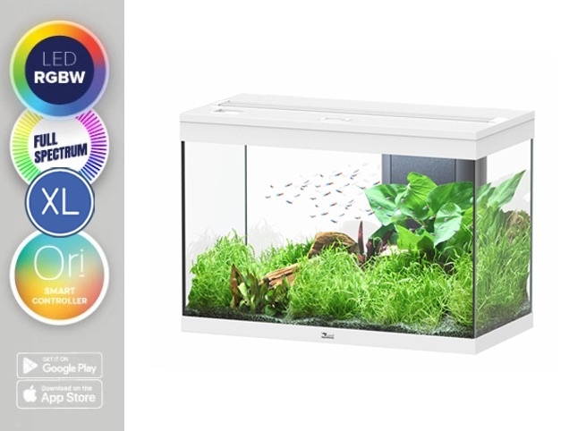 Aquarium Splendid 80 Ultra RGBW Biobox