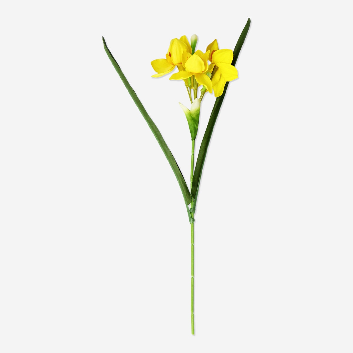Dekorativ gul blomst