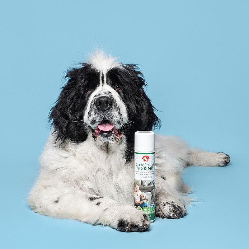 Sectoshield vlo en mijt omgevingsspray 400 ml