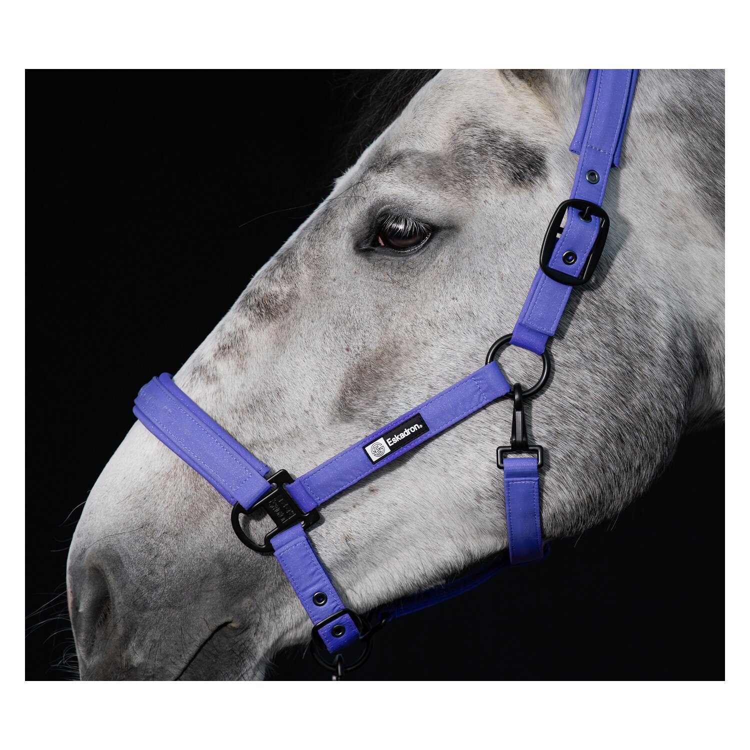 ESKADRON Dynamic Halfter Sparkle Double Pin  - purple