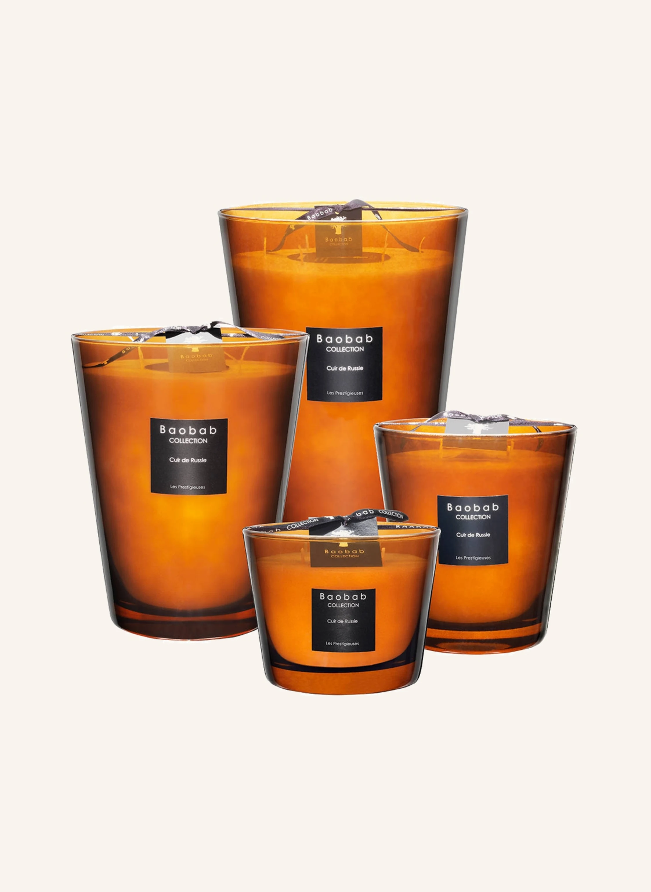 Baobab COLLECTION Duftkerze CUIR DE RUSSIE