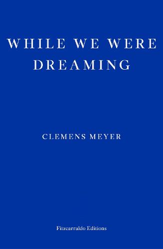 While We Were Dreaming (Paperback)
