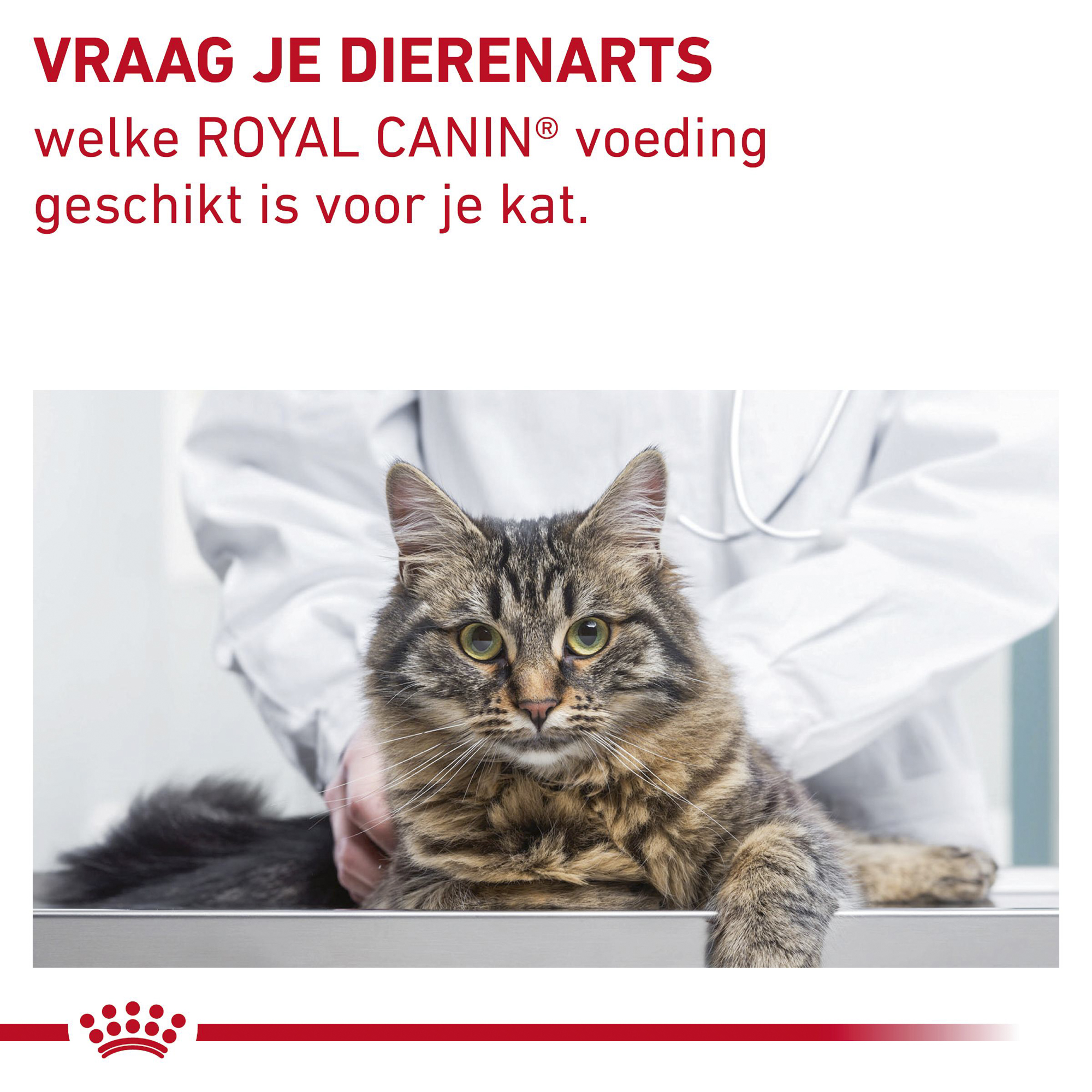 Royal Canin Gastrointestinal Fibre Response Kat