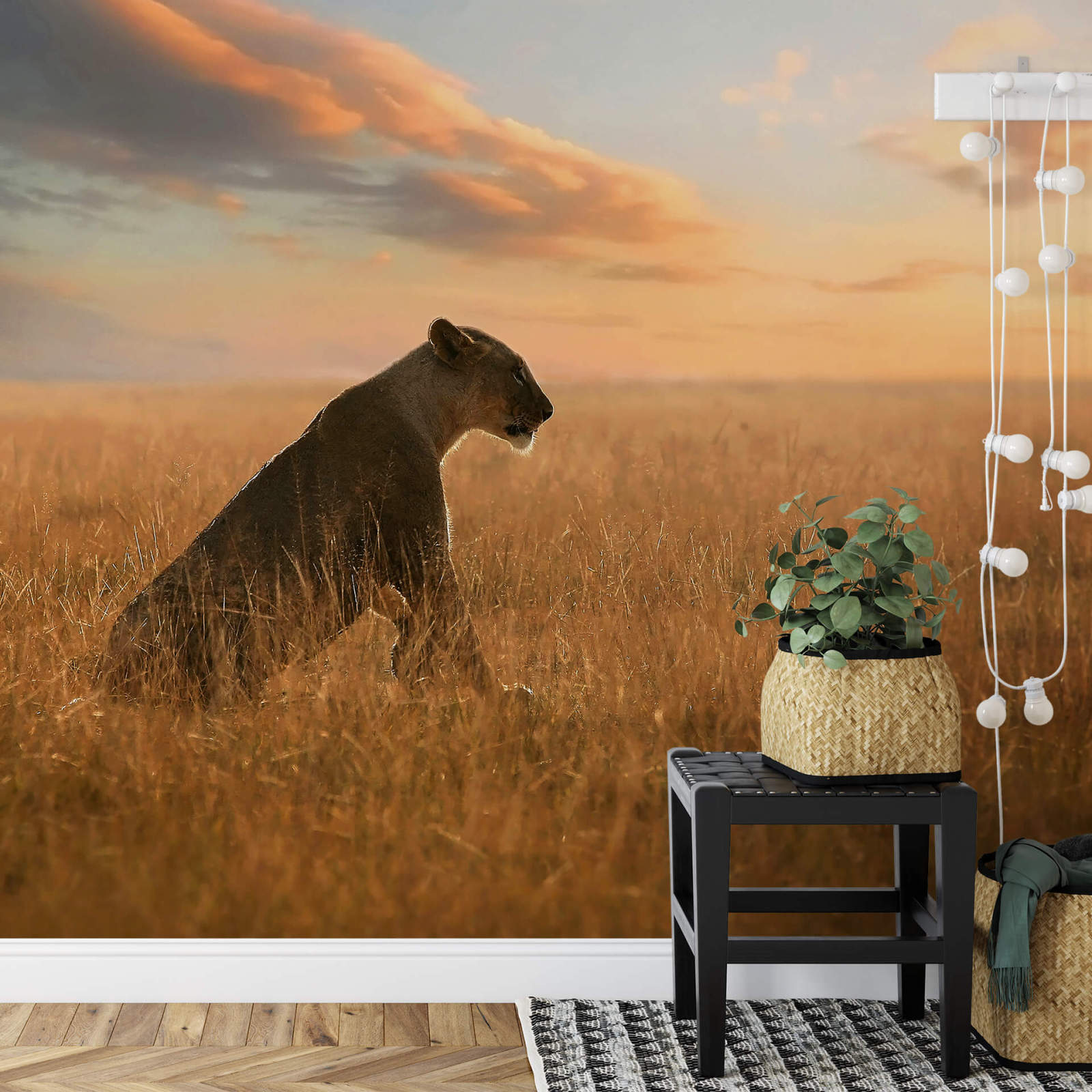 Fototapete DESIGNWALLS 2.0 - gelb-beige/creme - Tiger - 2,6 Meter