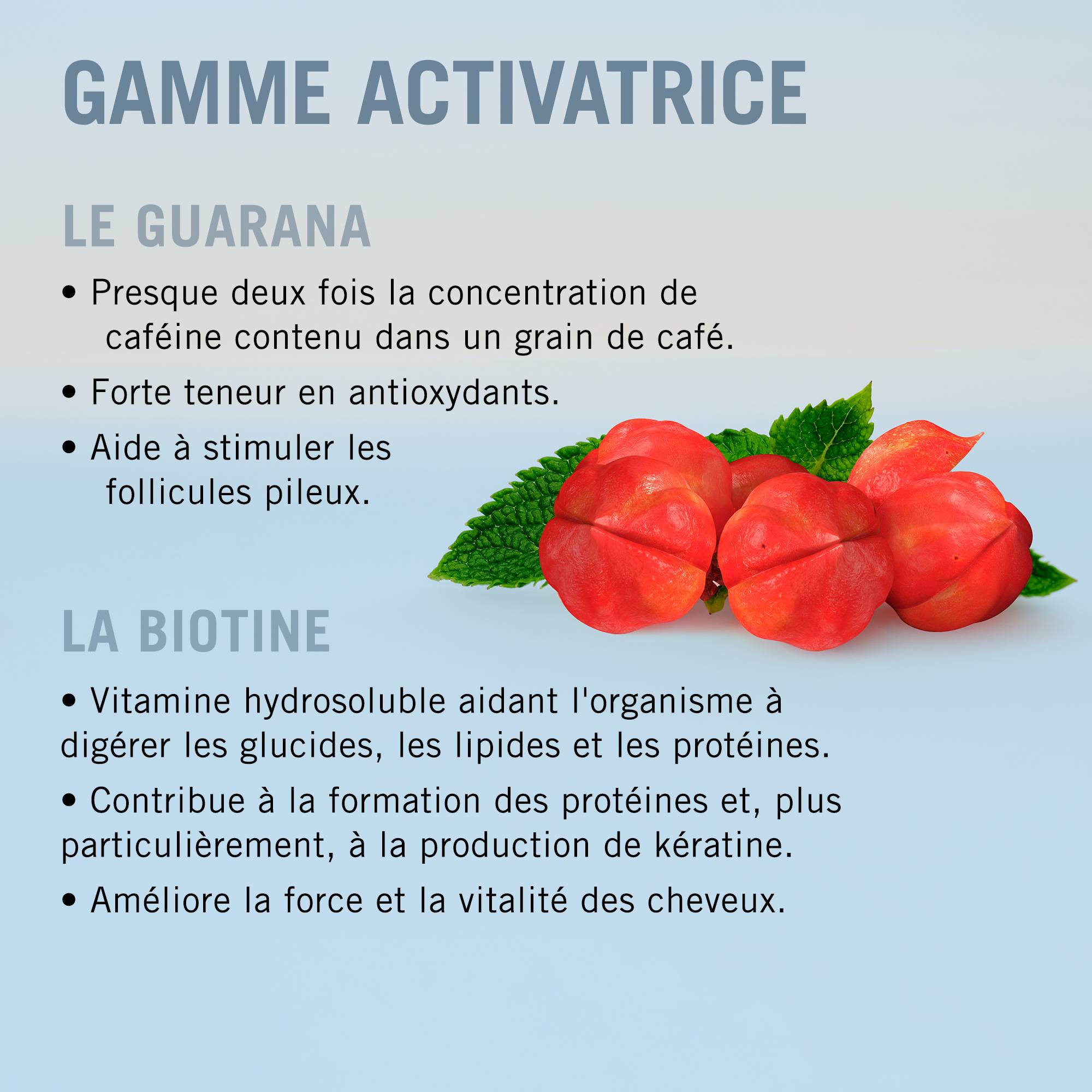 Sérum Activateur BC Bonacure Scalp / 100ml