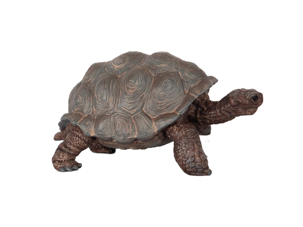 Schleich Safari - Riesenschildkröte