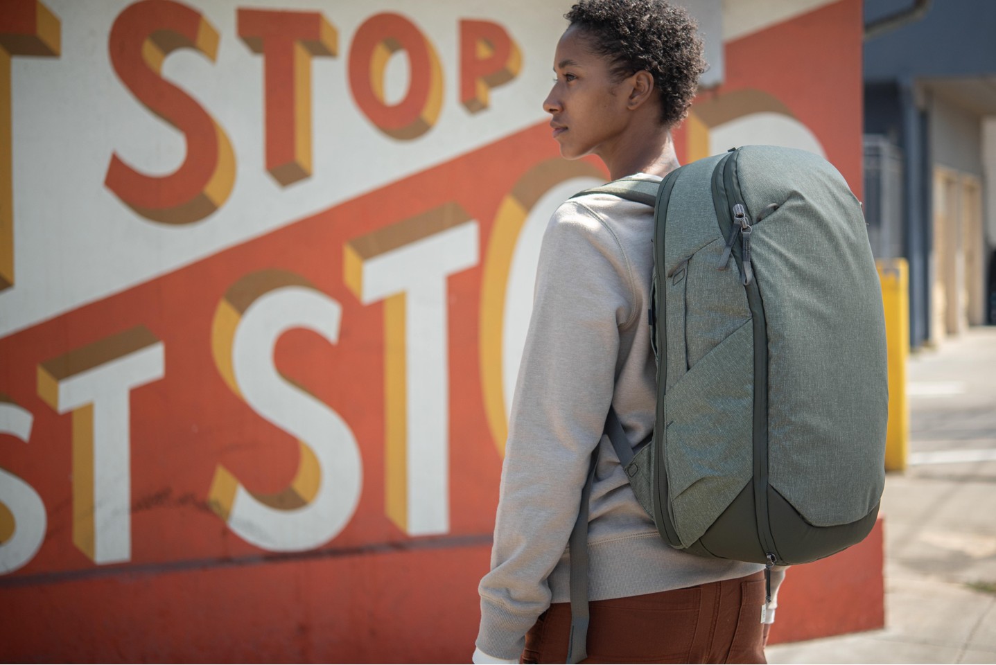 Peak Design - Travel Backpack 30L
