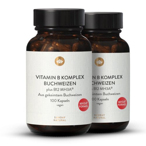Sunday Natural Products  B-Komplex Plus B12MH3A ®