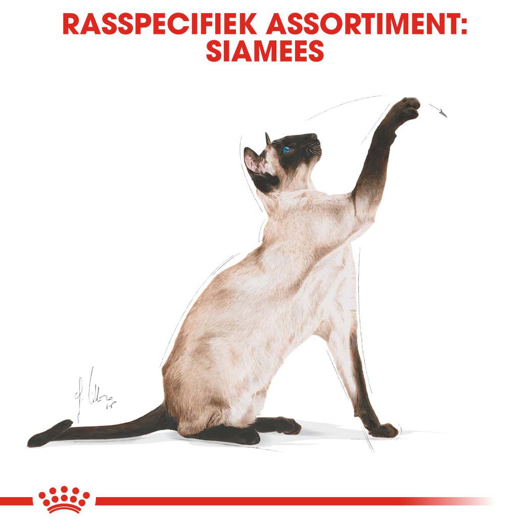 Royal Canin Siamese Adult - Kattenvoer - 2 Kilogram - Gevogelte