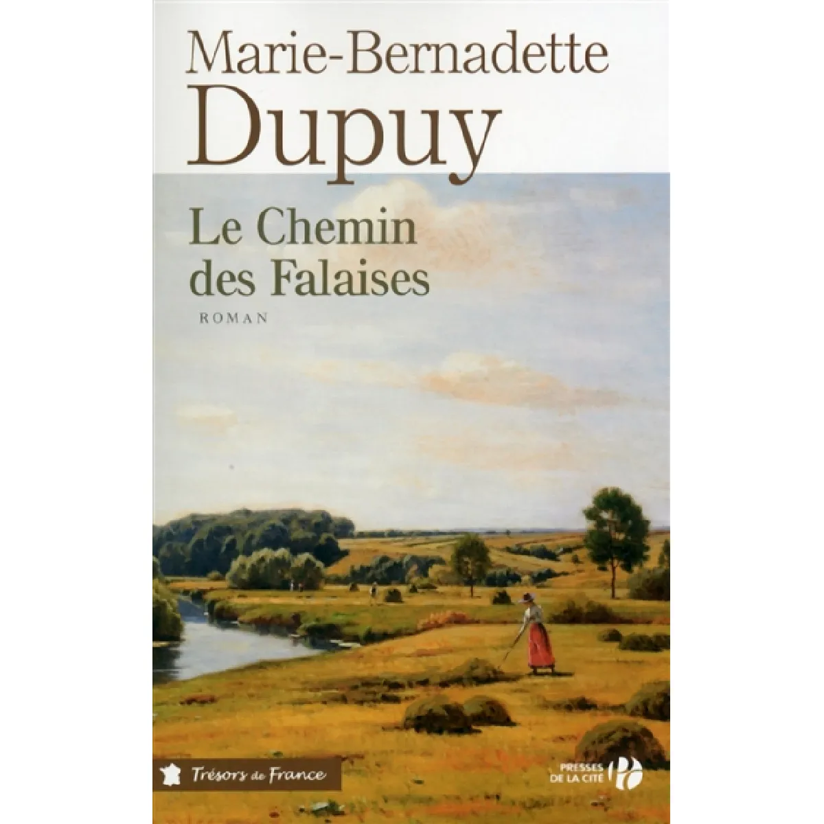 Le chemin des falaises · Occasion