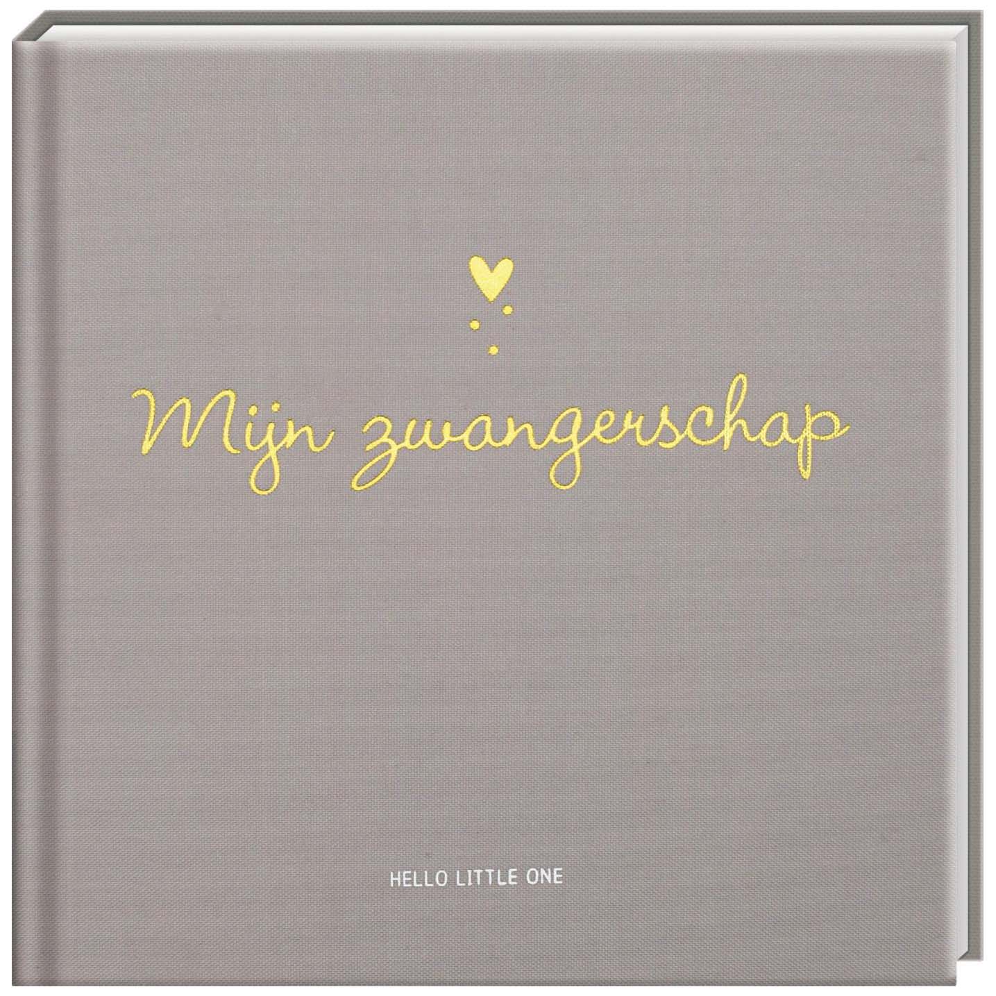 Mijn Zwangerschap  - zwangerschapsboeken - Prénatal