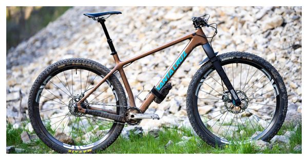 Fourche Rigide Enve MTN Carbon 29'' | 15x100mm