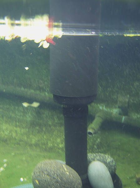Oase AquaSkim 40 Oppervlakafzuiger