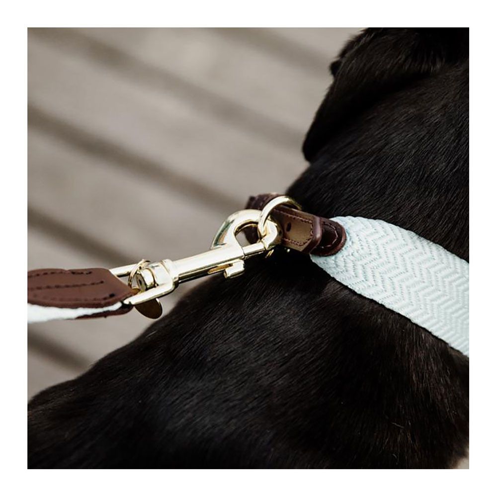 Kentucky JACQUARD - Laisse pour chien bleu clair